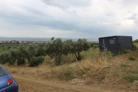 Şarköy Deniz Manzaralı Zeytinlik